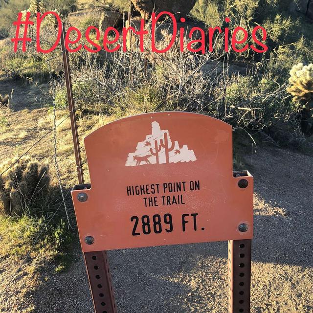 Week forty-two: Climbing all kinds of mountains - podcast episode cover