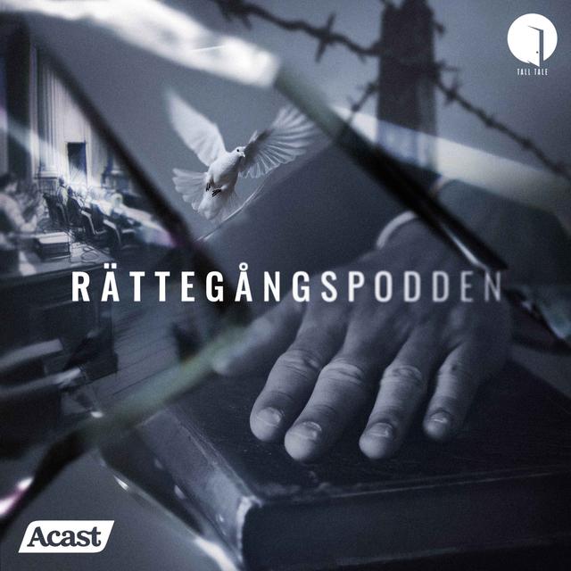 UTVALT: Dödsfallet i Sollentunahäktet - Del 2/3 - podcast episode cover