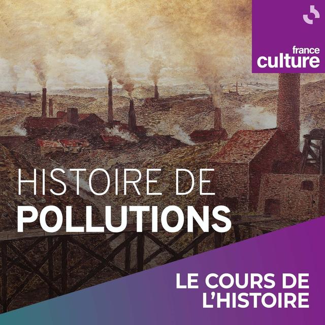 Histoire de pollutions 2/4 : Peaux, draps, étoffes, quand se vêtir déteint sur l’environnement - podcast episode cover