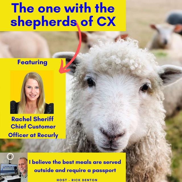 The one with the shepherds of CX - Rachel Sheriff Chief Customer Officer at Recurly E199 - podcast episode cover