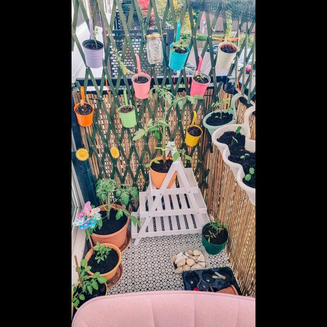 No Garden? No problem. - podcast episode cover