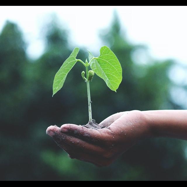 Fixed vs Growth Mindset - podcast episode cover