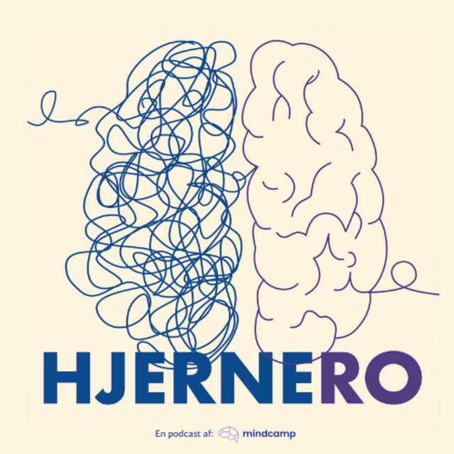 49 – Hidser du dig op over ting, du ikke kan ændre? Giv slip på det, du ikke kan kontrollere og få HjerneRO - podcast episode cover