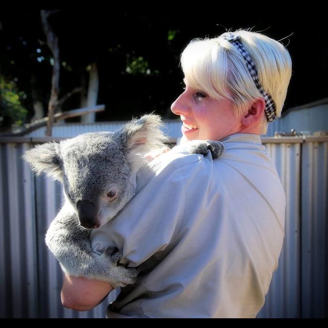 Episode 94: Koala Team from the San Diego Zoo - podcast episode cover