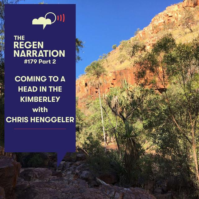 179. Coming to a Head in the Kimberley (Part 2): Chris Henggeler on the donkey situation, wildlife management & microbiome mysteries - podcast episode cover