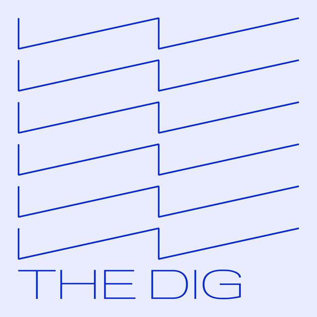 Dig: Rogue State w/ Aziz Rana - podcast episode cover