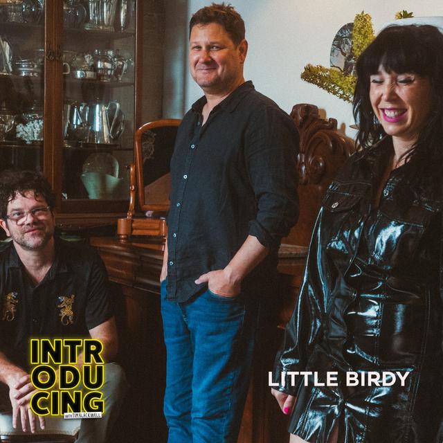 Little Birdy - podcast episode cover
