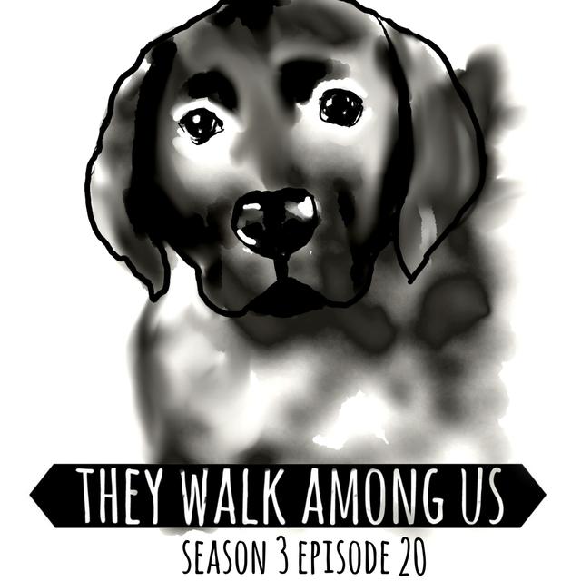 The Wild Fraud of "Lady" Rosemary Aberdour - podcast episode cover