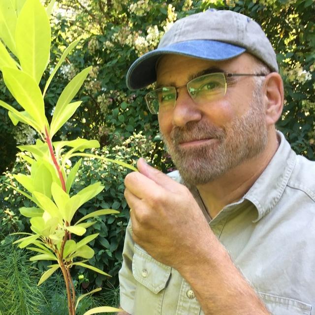 Making More Plants - podcast episode cover
