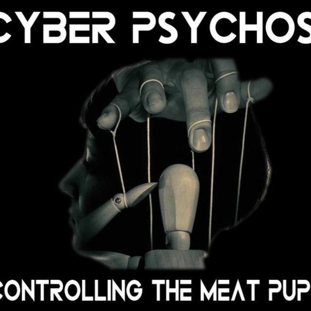 Show sample for 1/5/24: CYBER PSYCHOSIS - CONTROLLING THE MEAT PUPPETS W/ TIM RAY - podcast episode cover
