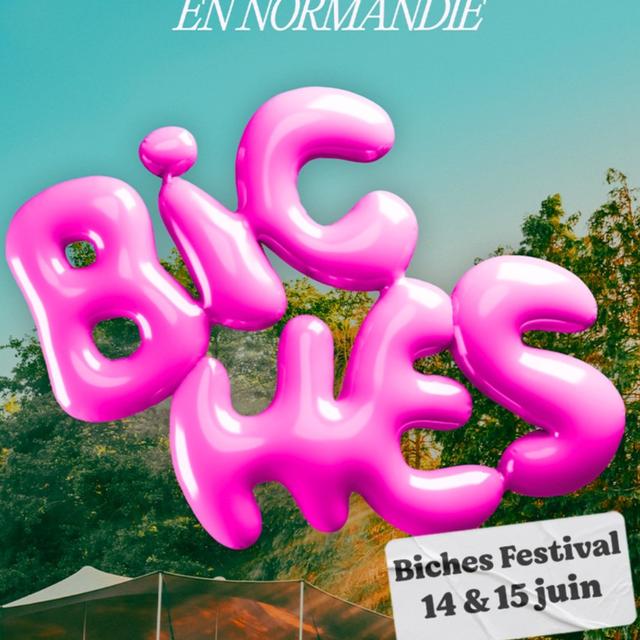 Focus sur le Biches Festival - podcast episode cover