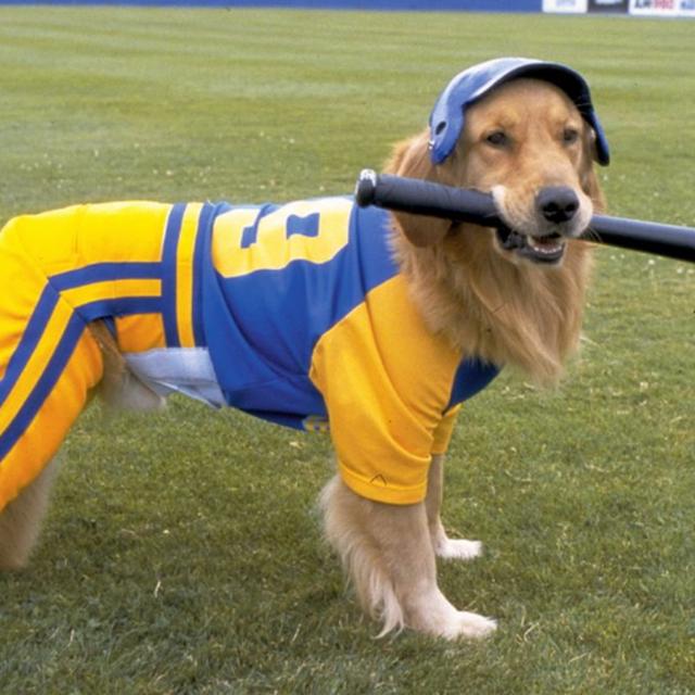 Episode #182 - Airbud: Seventh Inning Fetch - podcast episode cover