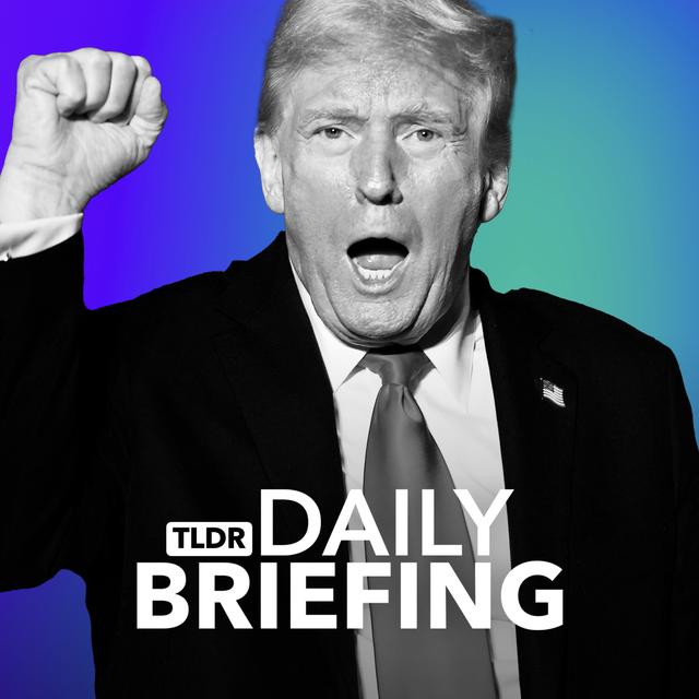 Why Trump's Birthright Citizenship Order has been Blocked - podcast episode cover