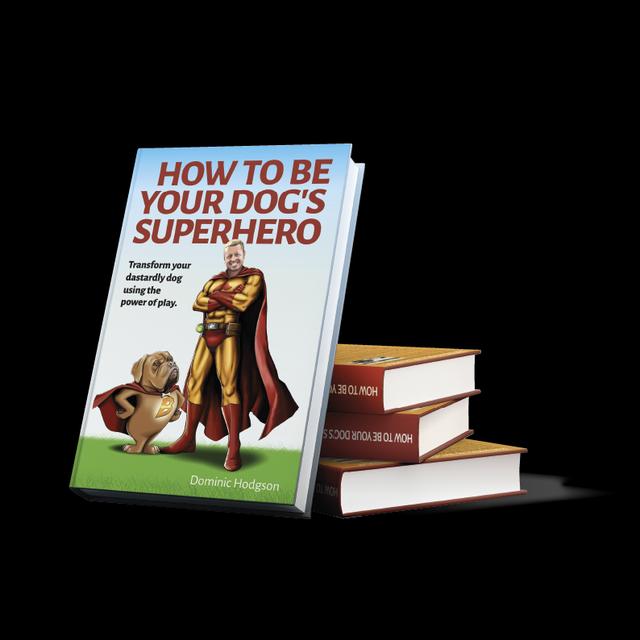 Episode 397 - How to Be Your Dog's Superhero: Behind the Scenes at a Book Club Discussion with Jamie Engerdahl - podcast episode cover