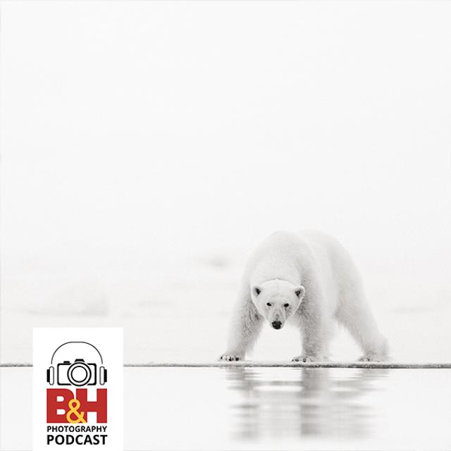 The Beauty & Impact of Polar Photography, with Acacia Johnson & Jonas Paurell - podcast episode cover