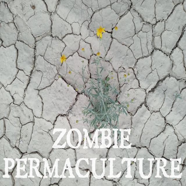 S4E9 - A Rattlesnake & A Better Offer - podcast episode cover