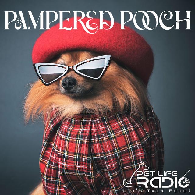 PetLifeRadio.com - The Pampered Pooch - Episode 5 Summer Activities With Your Dog - podcast episode cover