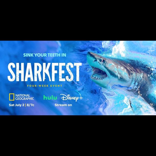 Episode 340: Shark Fest w/Dr Yanis Papastamatiou - podcast episode cover
