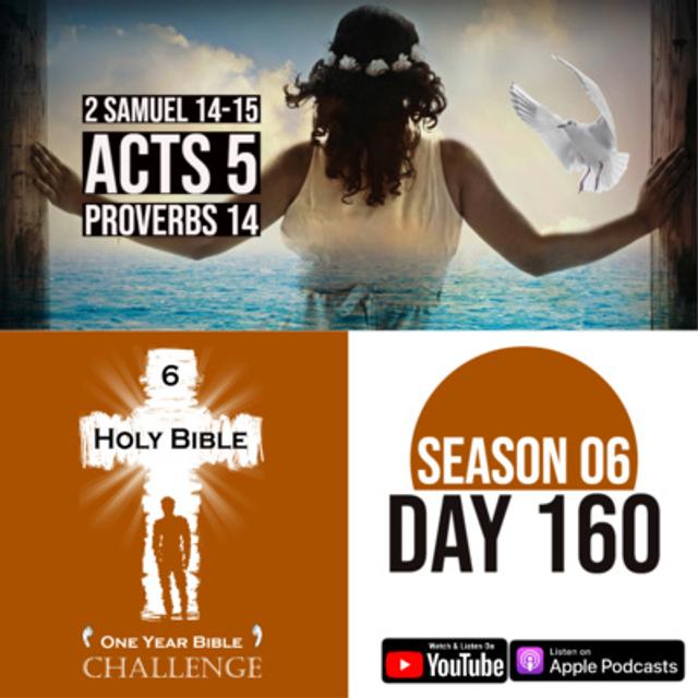 Day 160 | A wise woman from Tekoa speaks to King David | Apostles gain miraculous powers - podcast episode cover