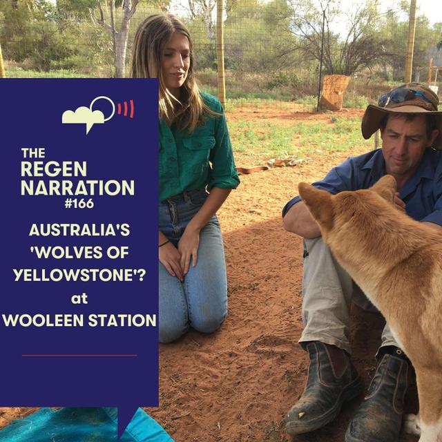 166. Australia’s ‘Wolves of Yellowstone’? With David Pollock & Zali Jestrimski at Wooleen Station - podcast episode cover