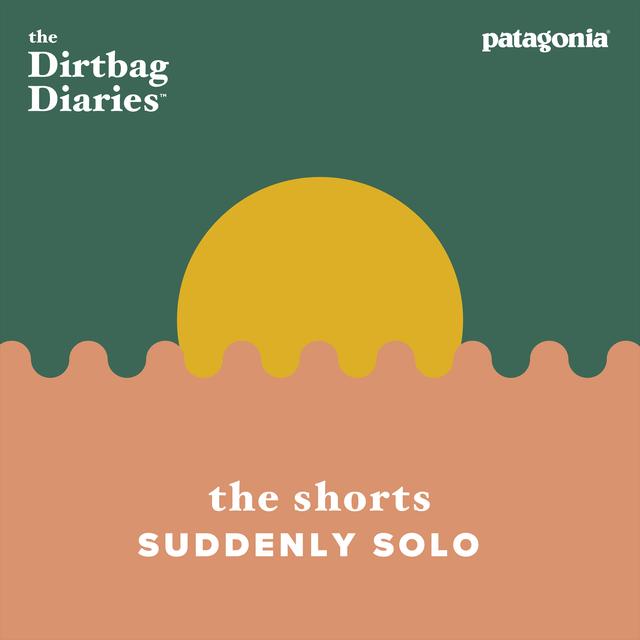The Shorts -- Suddenly Solo - podcast episode cover