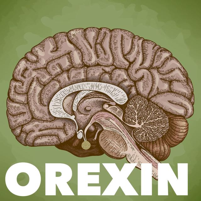 Orexin & Suvorexant - podcast episode cover