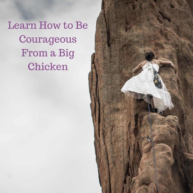 008: Learn How to Be Courageous From a Big Chicken - podcast episode cover