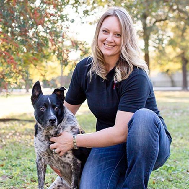 Episode 291 - The Doggy Daycare Success Blueprint with Jennifer Wolf-Pierson - podcast episode cover