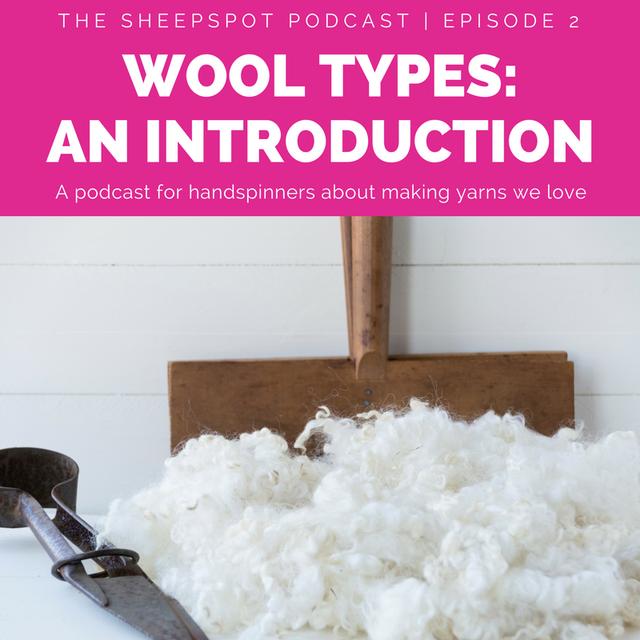 Episode 2: Wool Types—An Introduction - podcast episode cover