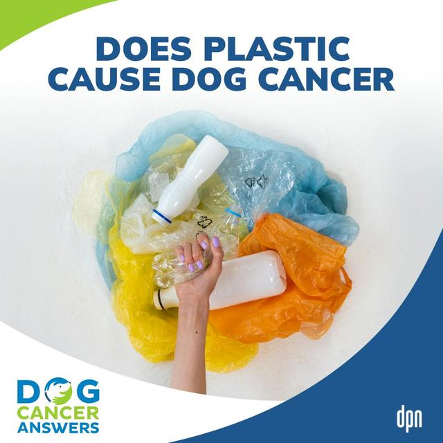 What Is Plastic Made of and Other Terrifying Plastic Facts | Charlotte Hacker, MS, PhD #255 - podcast episode cover