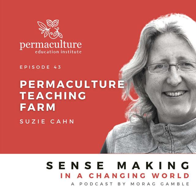 Permaculture Teaching Farm with Suzie Cahn and Morag Gamble - podcast episode cover