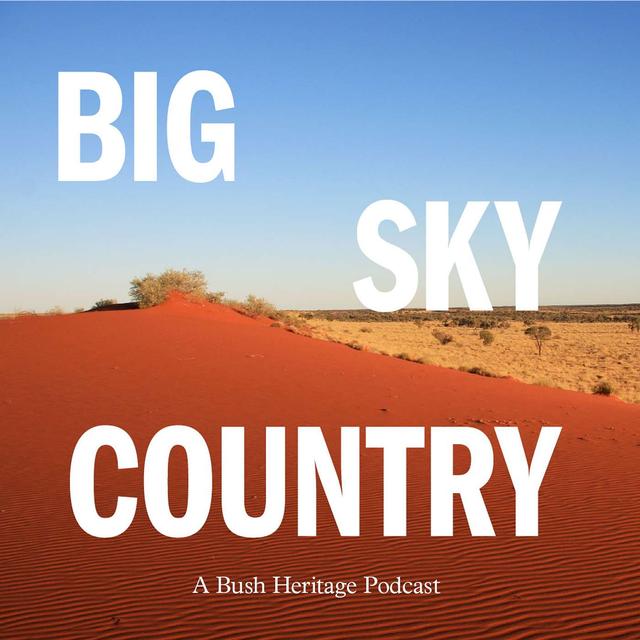 Trailer - podcast episode cover