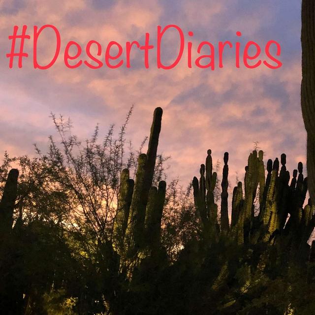 Week seven: The misters arrive, but so does homesickness... - podcast episode cover