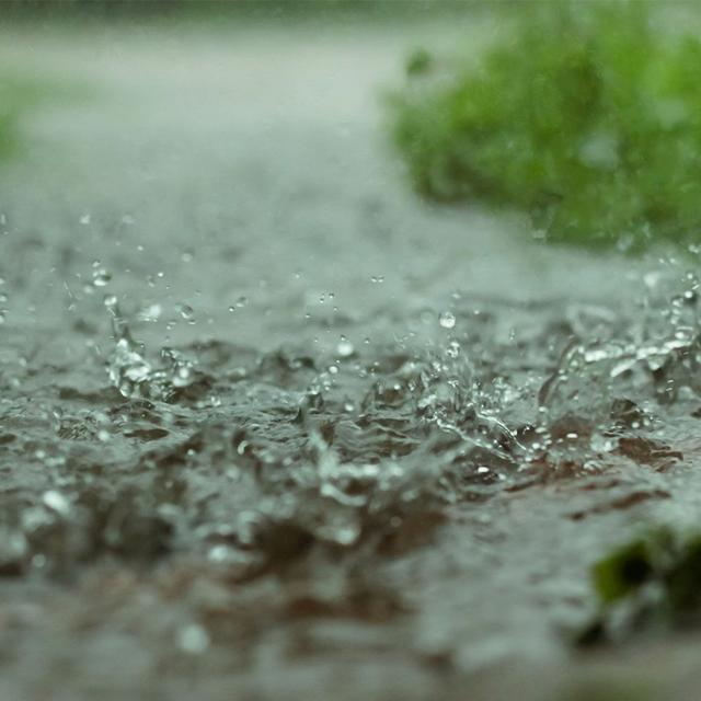 Podquisition 471: Weather or Naught - podcast episode cover