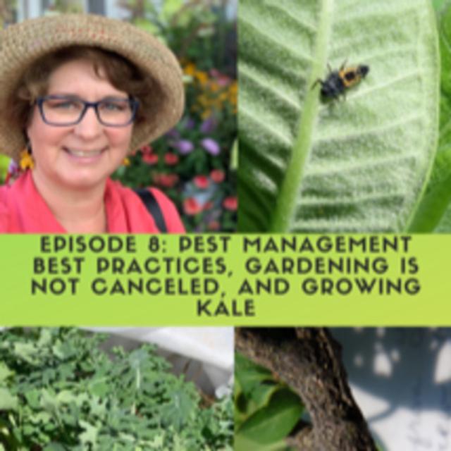 Integrated Pest Management - podcast episode cover