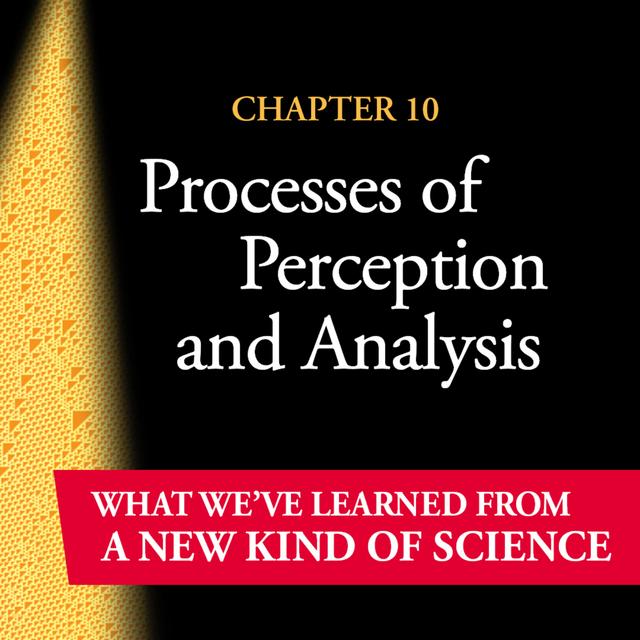 What We've Learned from NKS Chapter 10: Processes of Perception and Analysis - podcast episode cover