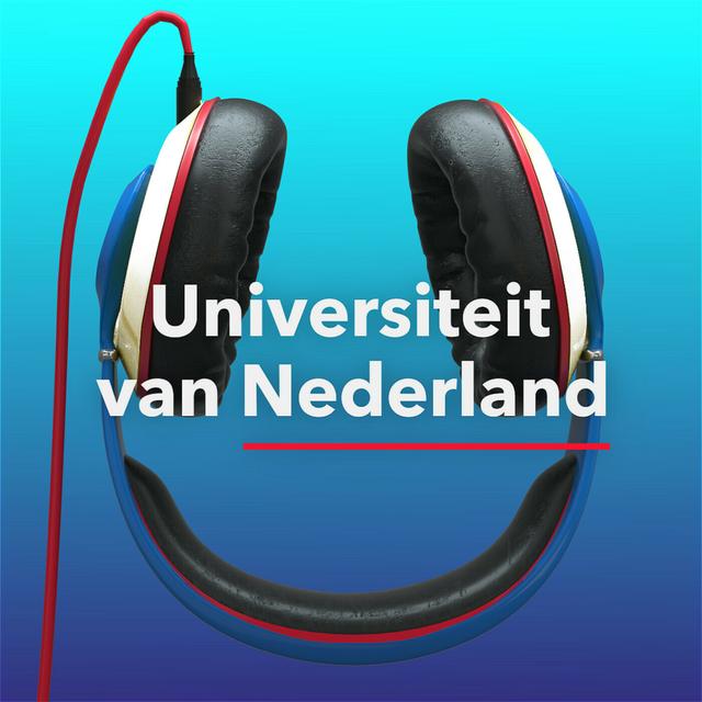 188. Wat kunnen we leren van luie mieren? - podcast episode cover