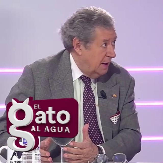 El Gato al Agua | 19/11/24 - podcast episode cover
