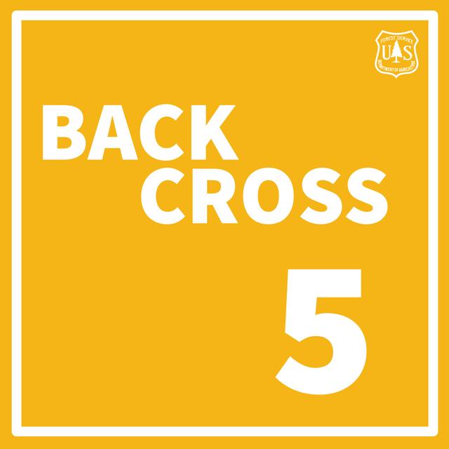 Backcross: Will Ash be the Blueprint for Tree Restoration? - podcast episode cover