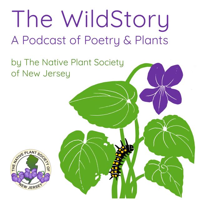 Episode 12: Poet and Wildlife Ecologist J. Drew Lanham, Urban Ecologist Marielle Anzelone and Marni Fylling discusses the nature just outside your door. - podcast episode cover