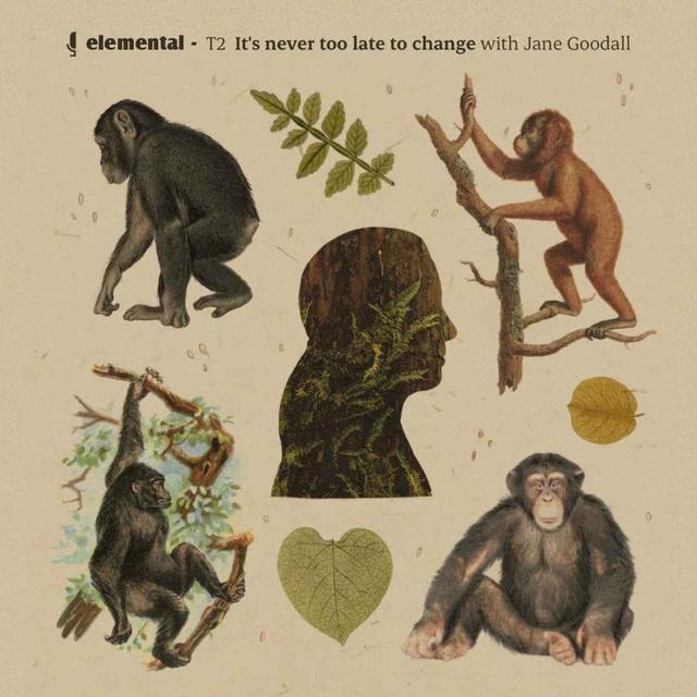 It's never too late to change - podcast episode cover