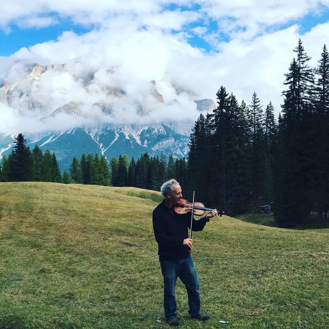 One Tree: In Search of Stradivari's Sibling Violins - podcast episode cover