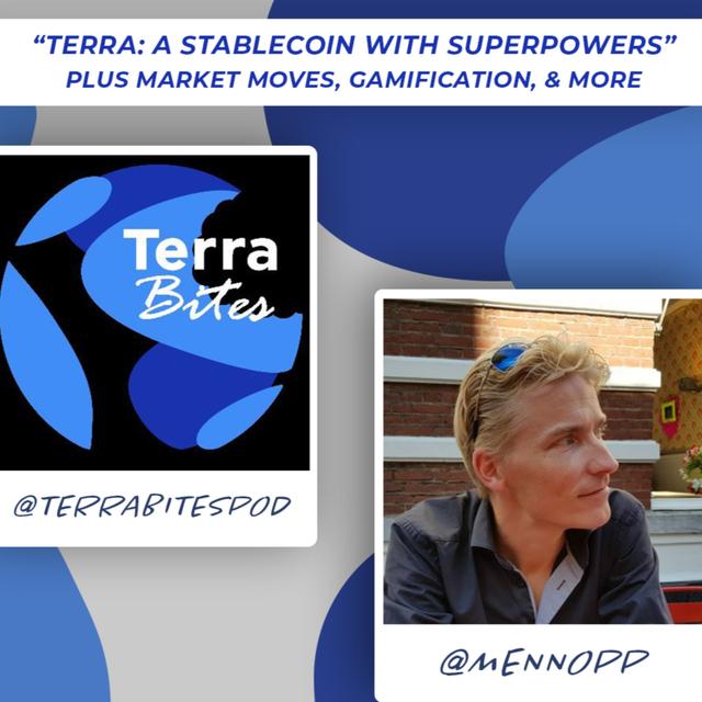 Menno Pietersen: Market Moves, Fundamentals, the Superpowered Stablecoin UST, Gamification, and More - podcast episode cover