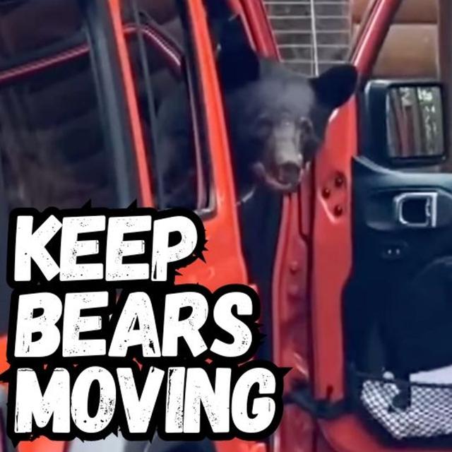 TW 403 - Keep Bears Moving, Tips for a BearWise Neighborhood - podcast episode cover