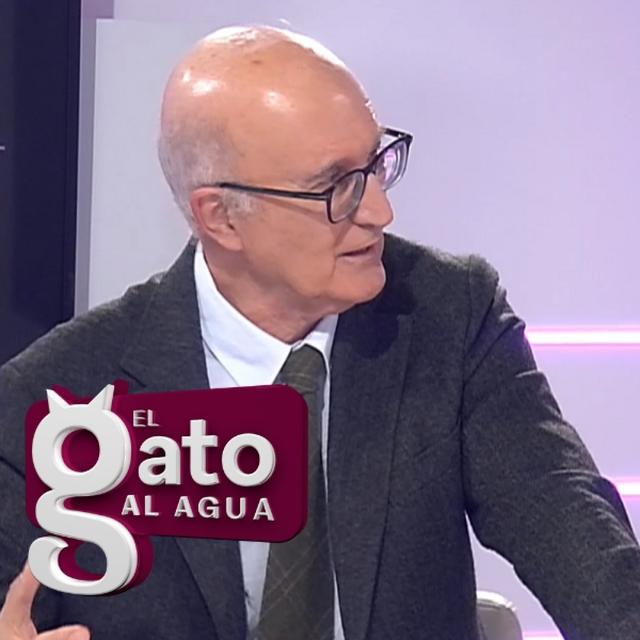 El Gato al Agua | 15/11/24 - podcast episode cover