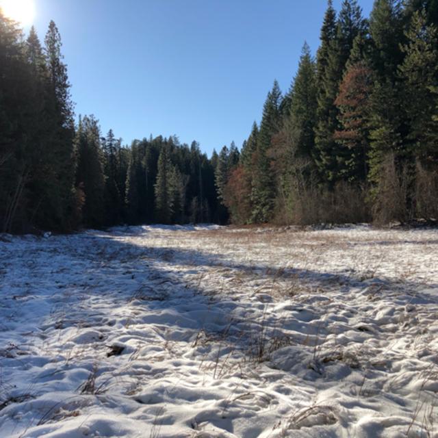 Episode 60: Crisp Winter Day at a Secluded Meadow - podcast episode cover