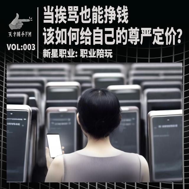 当挨骂也能挣钱，该如何给自己的尊严定价？ | 新星职业003 - podcast episode cover