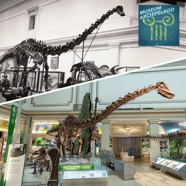 66. From ‘Extinct Monsters’ to ‘Deep Time’: A History of the Smithsonian Fossil Hall - podcast episode cover
