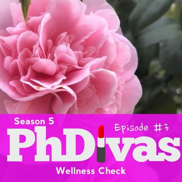 S5E3 | Wellness Check - podcast episode cover