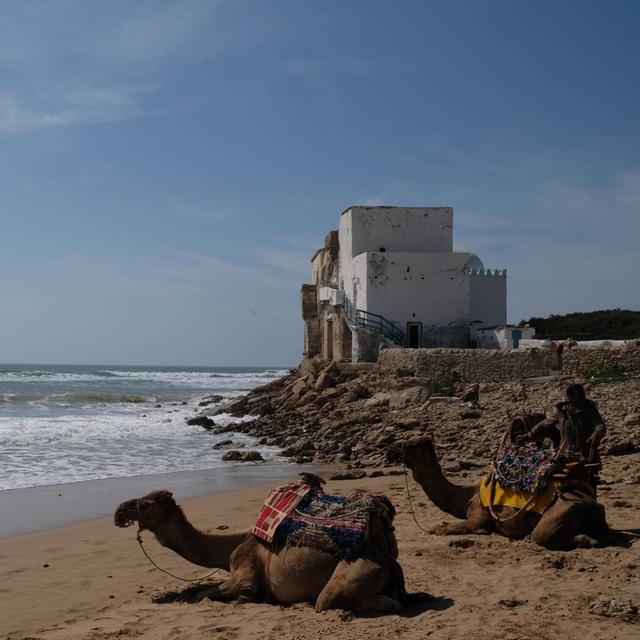 Los Viajes de Nautilus 04x03 - Marruecos en furgoneta, ruta atlántica II - podcast episode cover